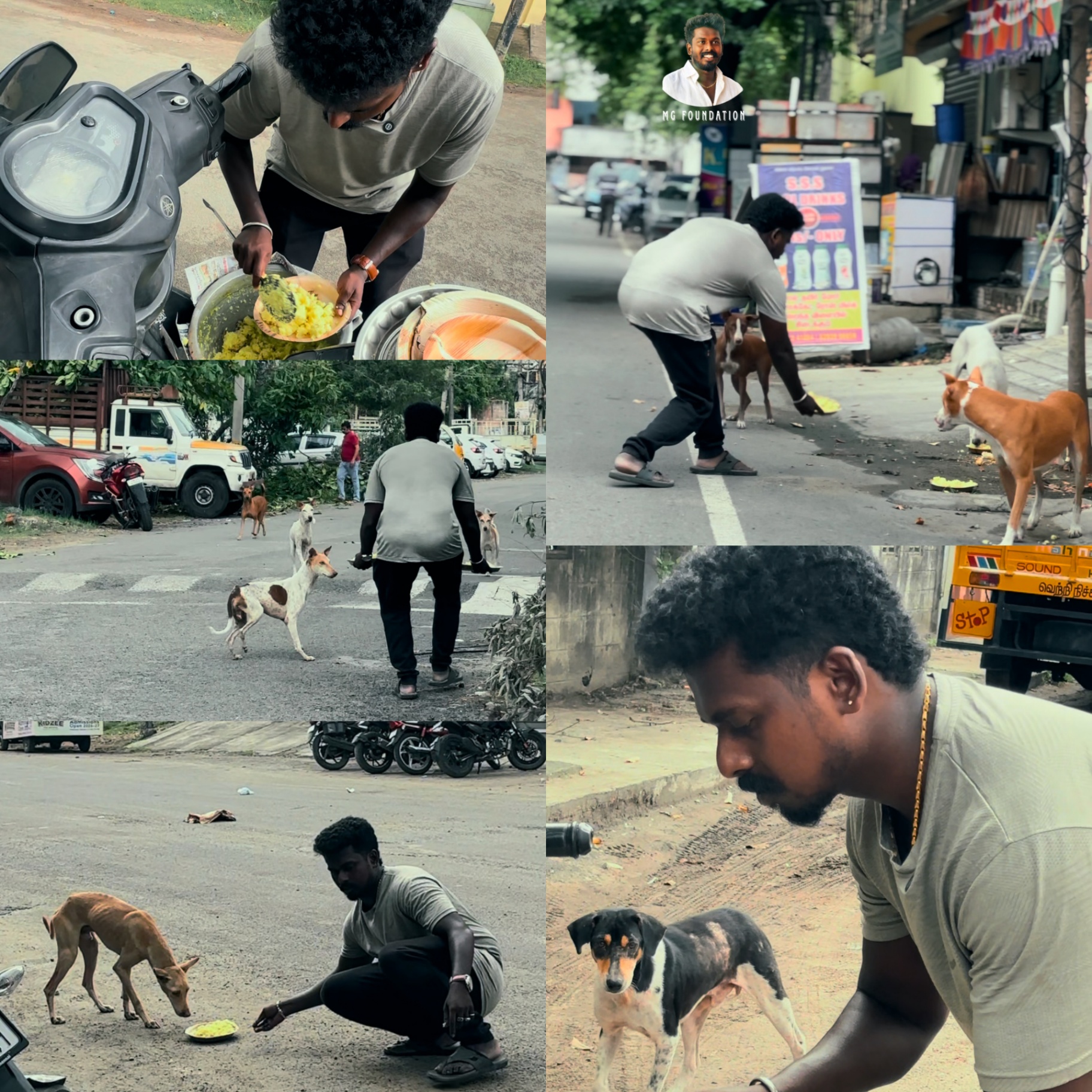 Compassion for the Voiceless